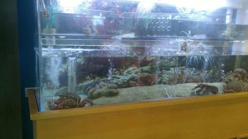 餐厅洛雷罗酒店 布埃乌 外观 照片